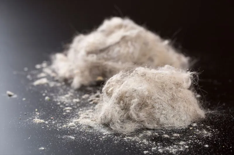 ハウスダストの原因とは